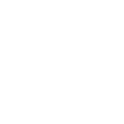 交易NEON安全吗？